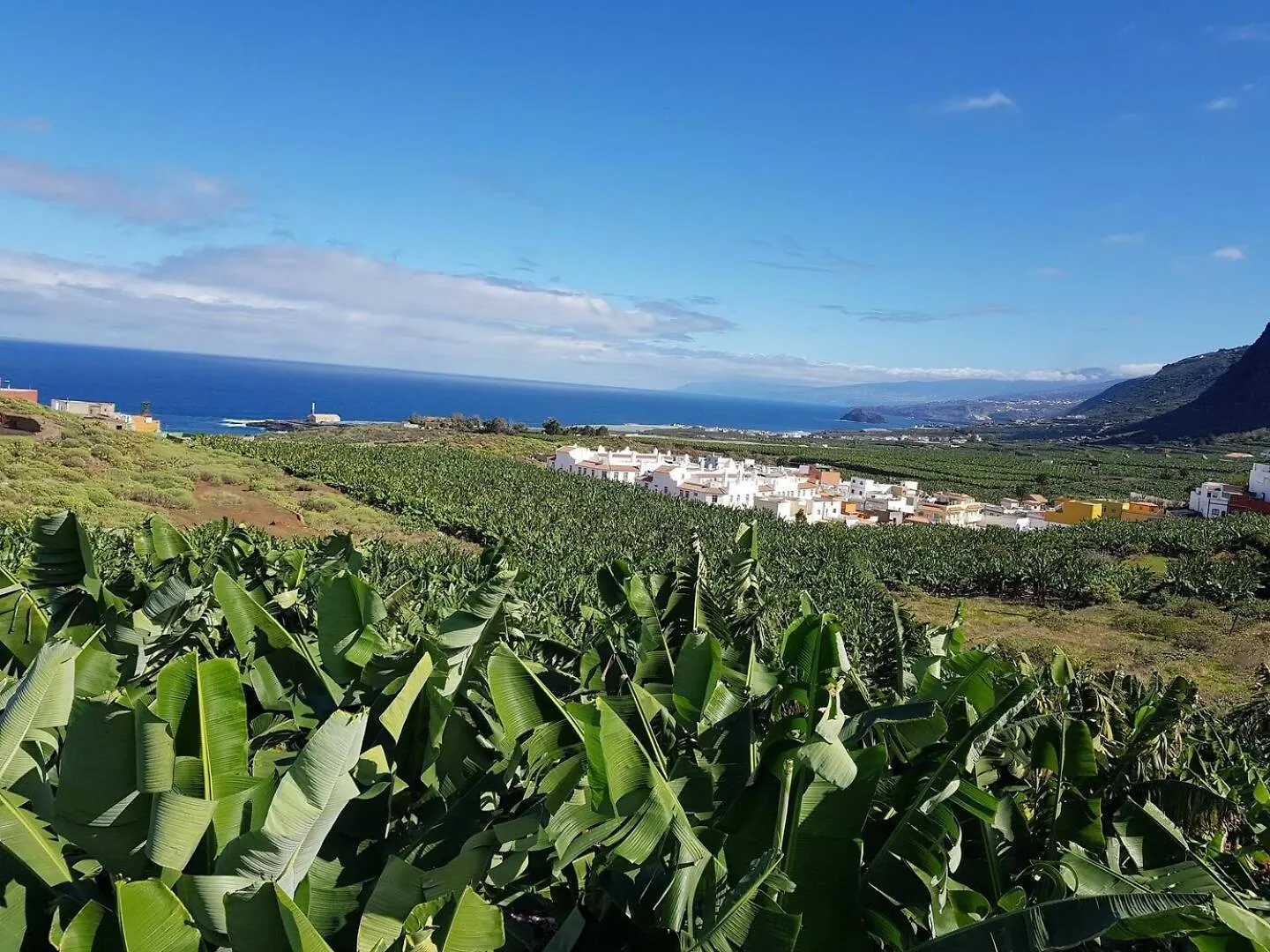 Chc - Apartamento Los Silos Tulipanes 1 0*,  Spain